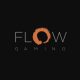 Flow Gaming bolsters management team