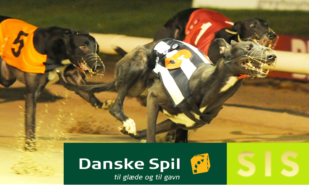 SIS continues greyhounds expansion internationally with Danske Spil deal