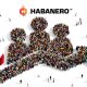 Habanero hails strong start to 2018