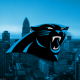 Potential Carolina Panthers sale puts NFL’s gambling problem in spotlight