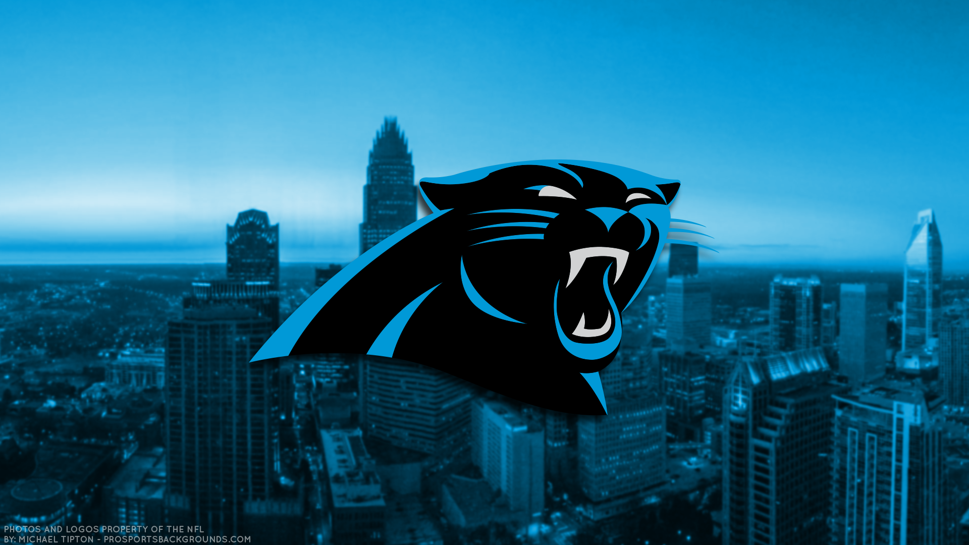 Potential Carolina Panthers sale puts NFL’s gambling problem in spotlight