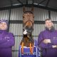Gavin Cromwell becomes BETDAQ brand ambassador