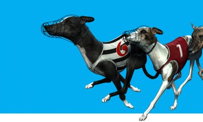 Vermantia’s Ultimate Live Greyhound Channel expands in Africa with Fortune Bets