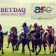 BETDAQ agrees starting stalls partnership with Arena Racing Company