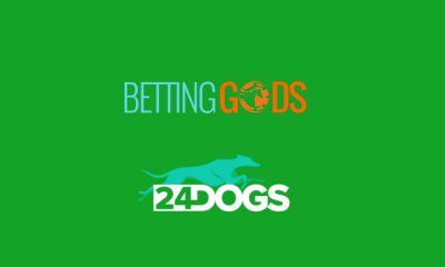 Betting partnership could see greyhound punters win as big as the bookies
