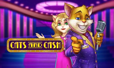 Put Some Money in the Kitty with Cats and Cash