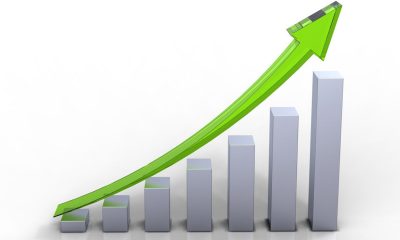 MRG post revenue rise