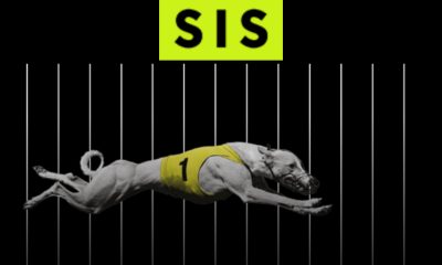 SIS publishes UK greyhound return to racing schedule