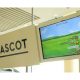 Racing Post B2B deal gives Ascot racegoers tipping expertise