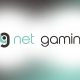 Net Gaming carries out restructuring and issues forecast for Q2 2020