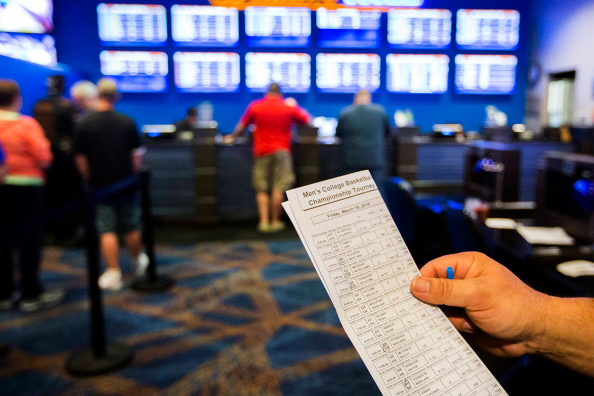 NCAA sets up committee to explore sports betting options