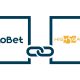 High 5 Gaming Expanding In The Online Gambling Industry With Btobet