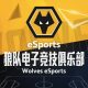 Wolves eSports partners with Weibo to launch esports team in China