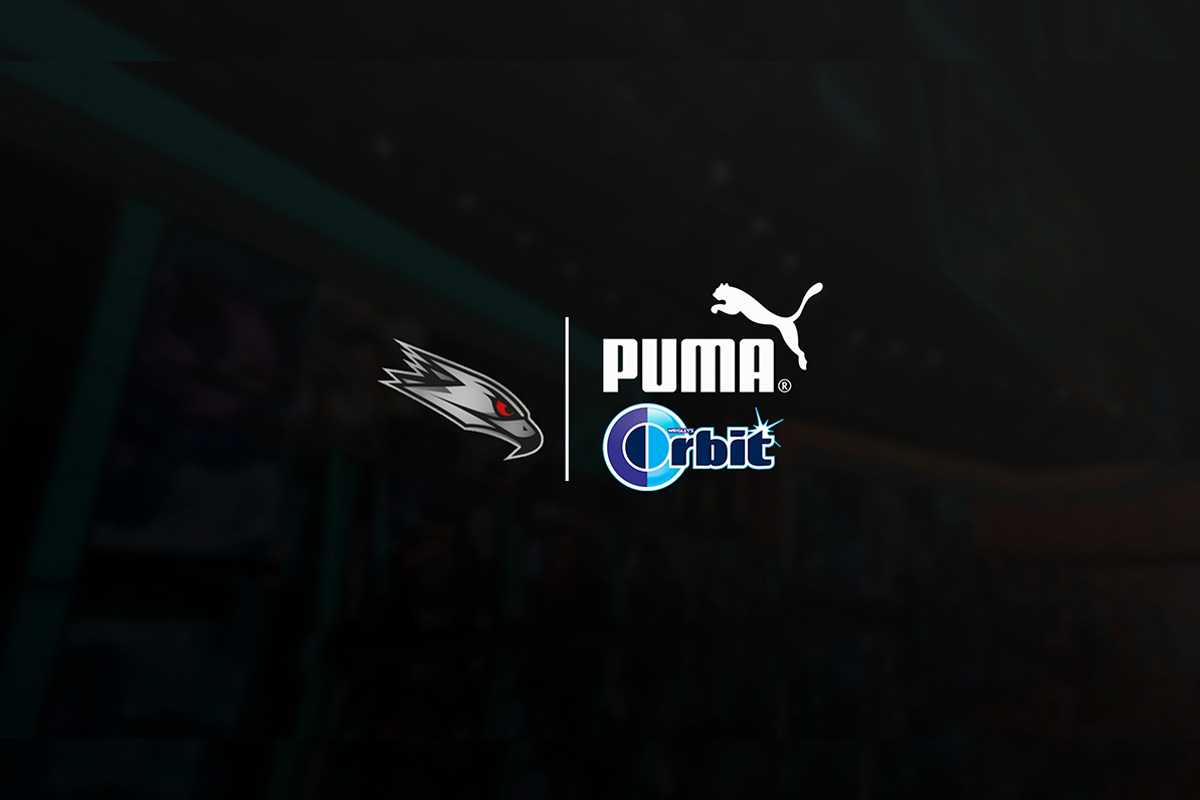 puma b2b