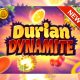 Quickspin 3D-rendered, highly volatile fruit game with Durian Dynamite
