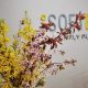 iSoftBet rolls out pioneering platform-wide ‘In-Game’ gamification