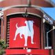 Zynga reports Revenue increase for Q1