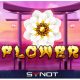 8 Flowers - SYNOT Games: Can you resist the floral temptation?