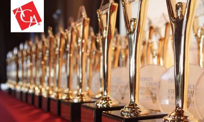 AGA Wins Gold Stevie Award In 2019 American Business Awards