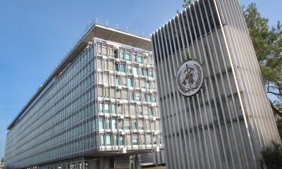 Gaming Trade Groups Oppose WHO’s Gaming Disorder Classification