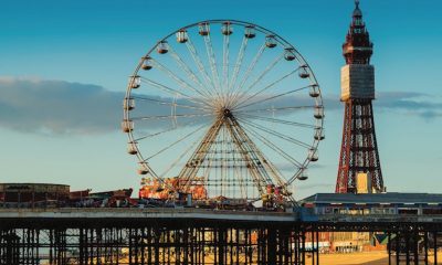Bacta Launches “Siding with the Seaside” Campaign