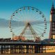 Bacta Launches “Siding with the Seaside” Campaign
