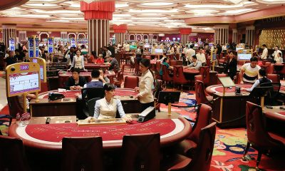 Beginner's Guide to Sports Betting and Sports Analysis in South Korea
