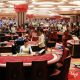 Beginner's Guide to Sports Betting and Sports Analysis in South Korea