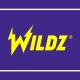 Wildz Partners With Twitch Streamers for a Competition