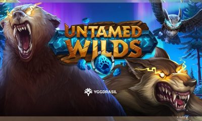 Yggdrasil with Untamed Wilds