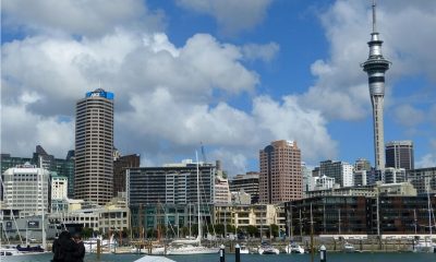 New Zealand Internal Affairs Seeks Public Opinion on Online Gambling