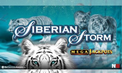 Siberian Storm blows in a £1.3 million windfall for one lucky NetBet player!
