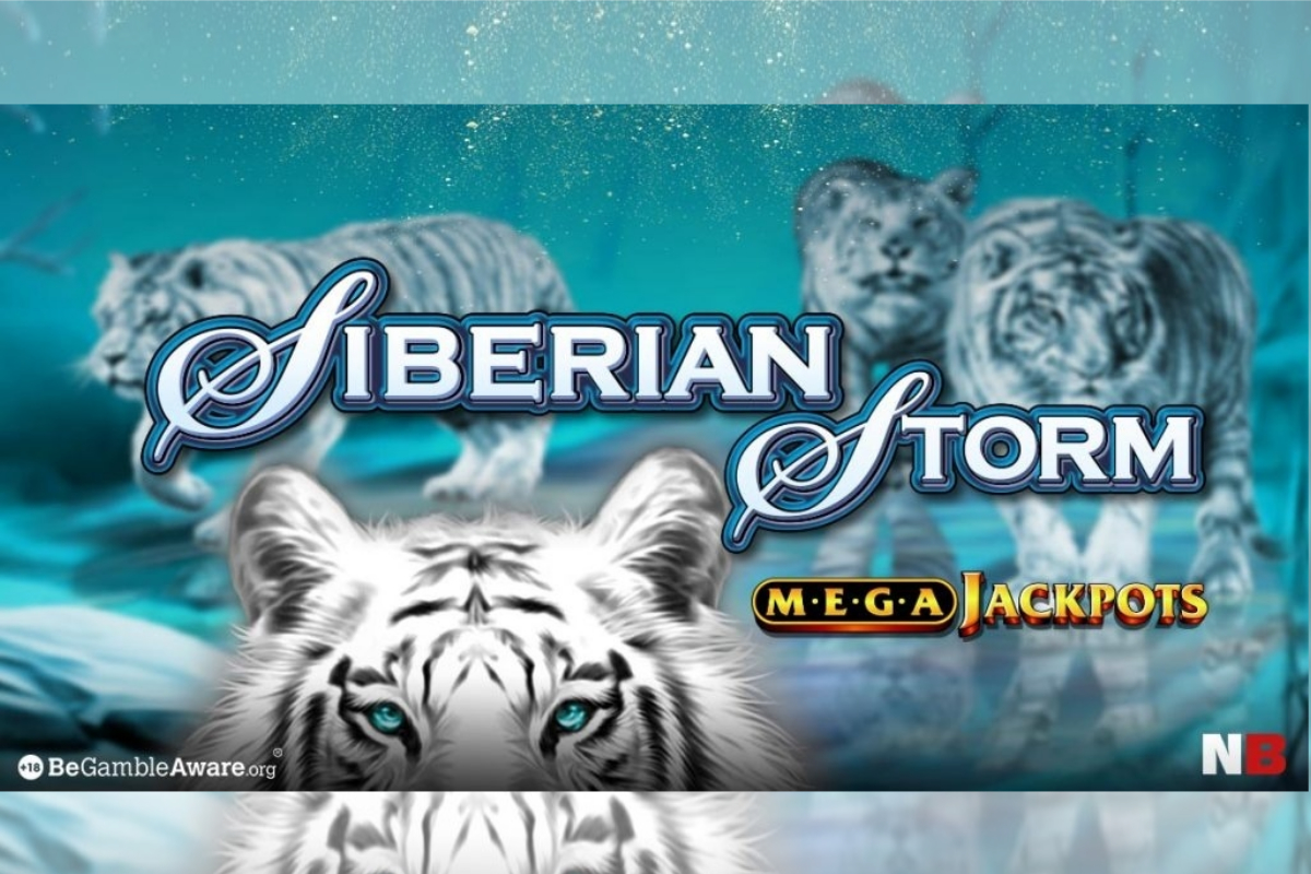 Siberian Storm blows in a £1.3 million windfall for one lucky NetBet player!