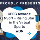 CEEG Awards: NSoft - Rising Star in the Virtual Sports