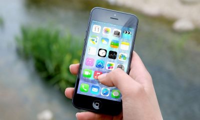 Apple and Google Remove Illegal Gambling Apps from their Stores