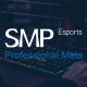 SMP Group launches first of its kind esports division