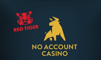 Red Tiger live on No Account Casino