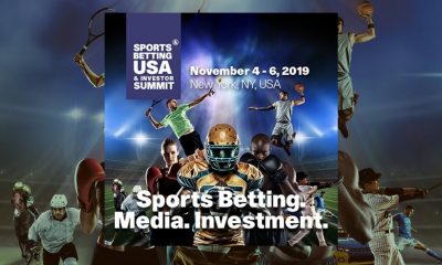nstitutional Investors and Private Equity Firms Eye the $150 billion US Sports Betting Market