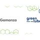 Gamanza integrates Greentube to the iGaming Superstore