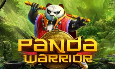 Panda Warrior