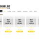 iGaming Content Provider Knup Solutions Launches Gambling Domain Services