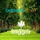 Betsson Group partners with Saġġar on its journey of planting 1 Million Trees