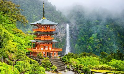Wakayama Policy Draft for IR Implementation