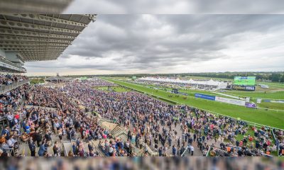 ARC Makes New Appointments to Senior Management Team