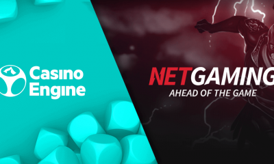 NetGaming signs content distribution agreement with EveryMatrix