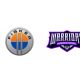 Warriors International (WIN) & Fisker Inc. esports Partnership