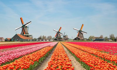 Blueprint Gaming strengthens Netherlands regulated market presence with Holland Casino