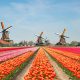 Blueprint Gaming strengthens Netherlands regulated market presence with Holland Casino