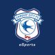 Cardiff City FC aka Bluebirds launch official eSports team