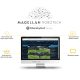 Magellan Robotech "Virtual Trident" Ready To Be Launched In Colombia Market